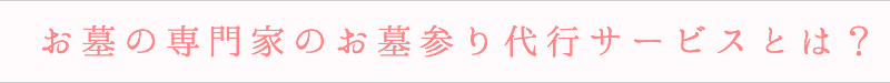 お墓の専門家のお墓参り代行サービスとは？